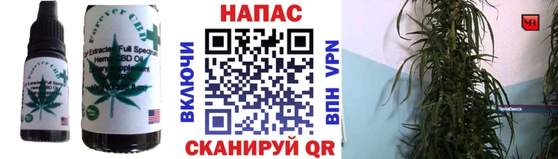 ссылка на мегу зеркало Салаир Canna-Cookies конопля