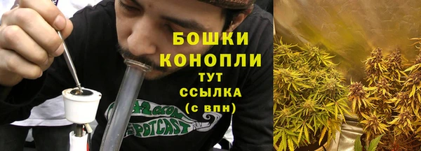 ПСИЛОЦИБИНОВЫЕ ГРИБЫ Балабаново